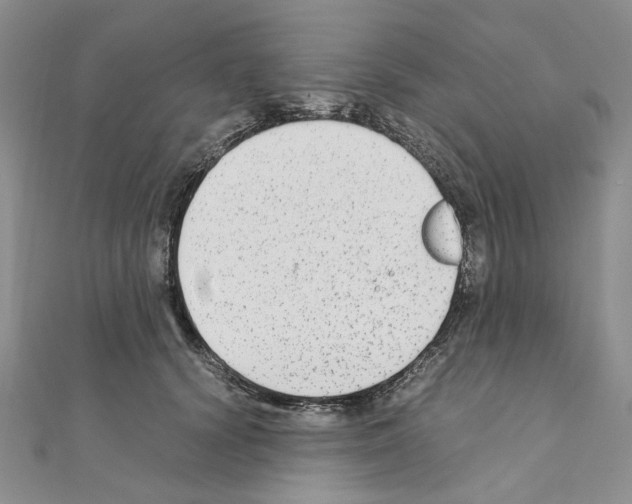 X0000110930656200907301625
