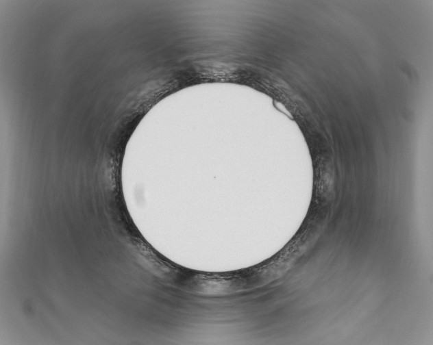 X0000110930658200907301625