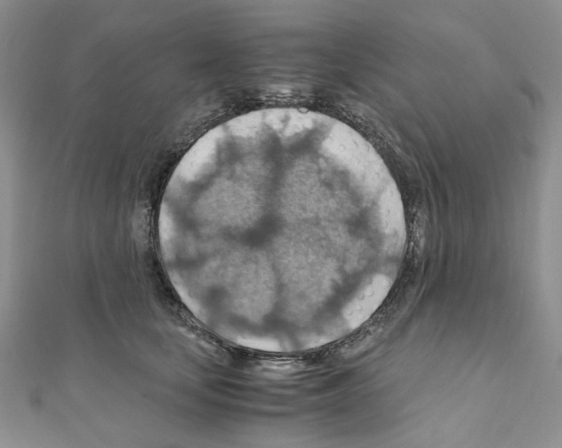 X0000110930659200907301625