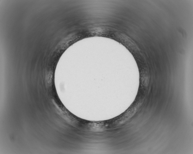 X0000110930660200907301625