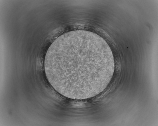 X0000110930661200907301625