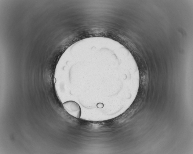X0000110930662200907301625