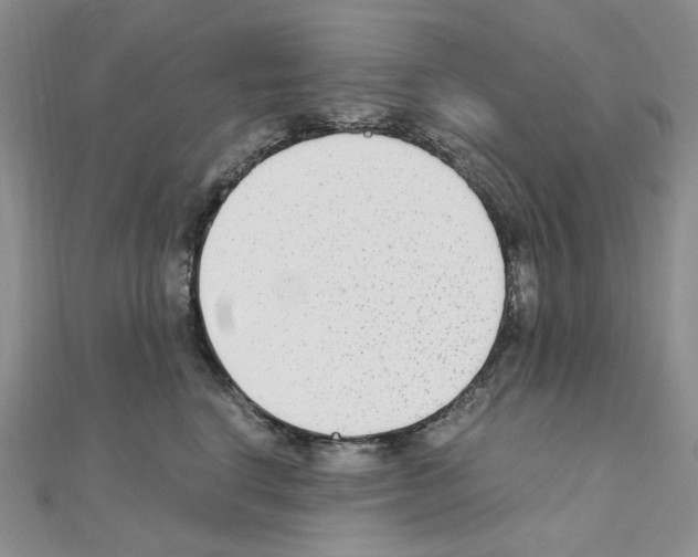 X0000110930664200907301625