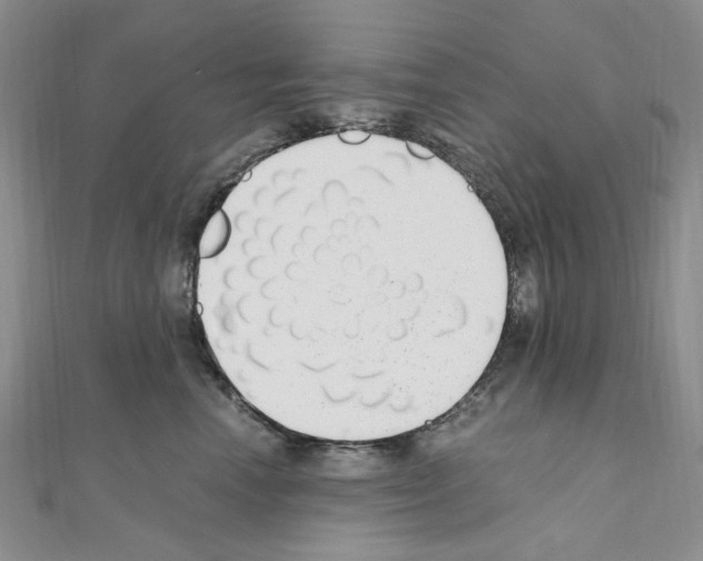 X0000110930666200907301625