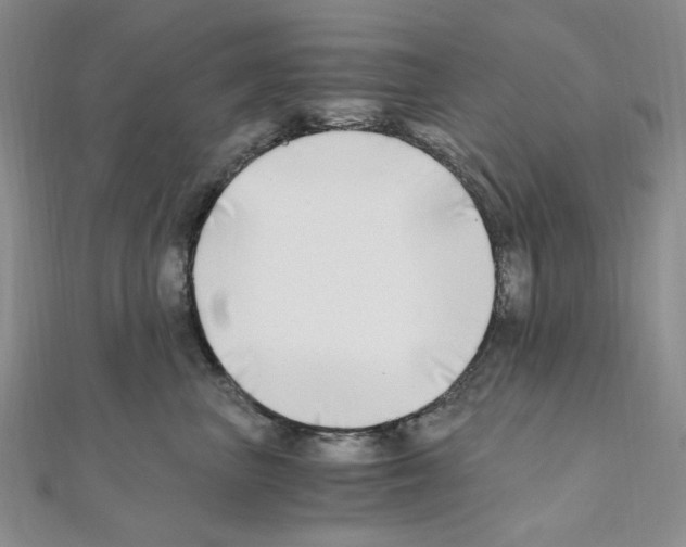 X0000110930667200907301625