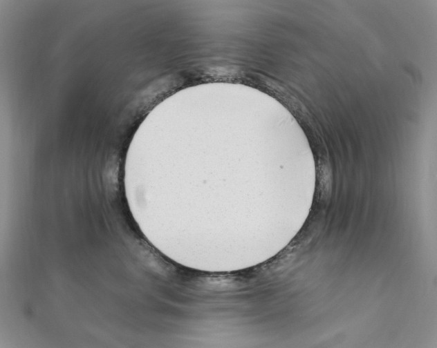 X0000110930668200907301625