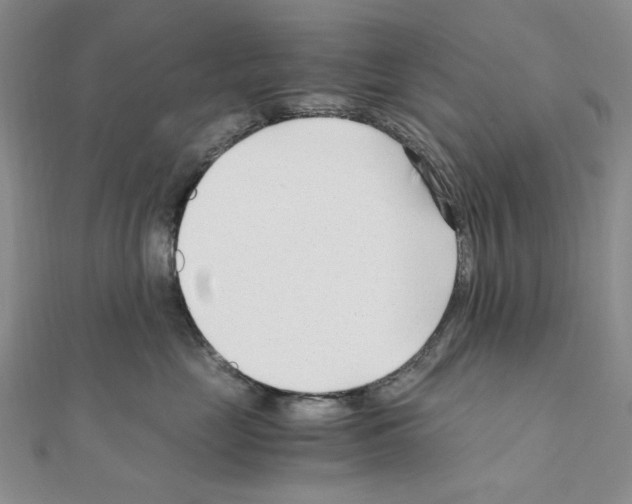 X0000110930669200907301625