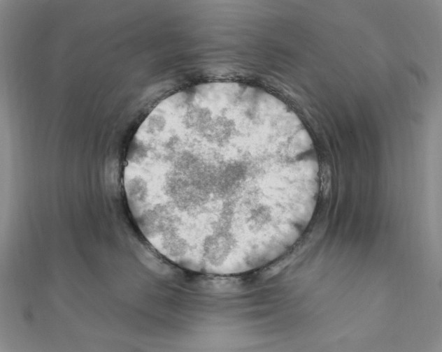 X0000110930670200907301625