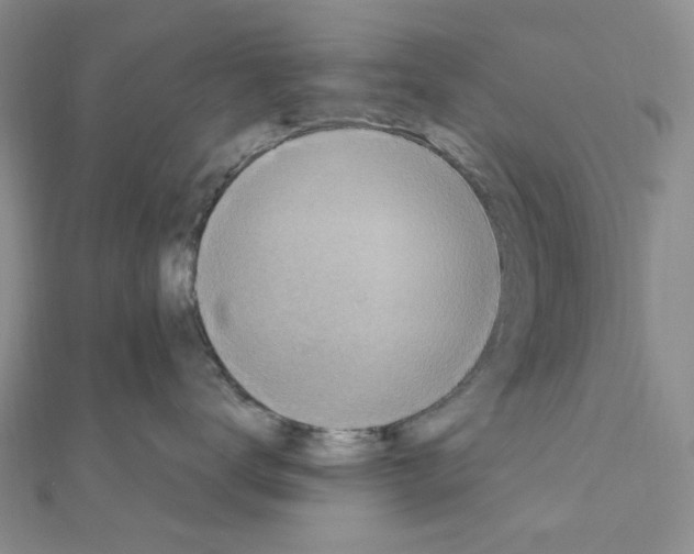 X0000110930672200907301625