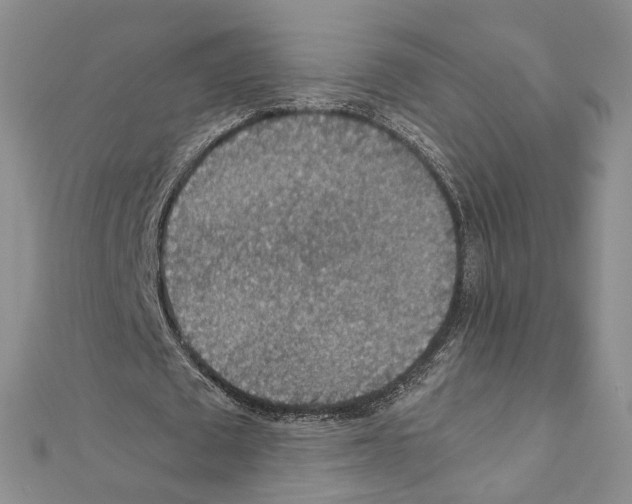 X0000110930673200907301624