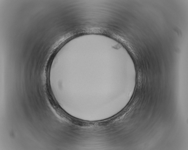 X0000110930674200907301624
