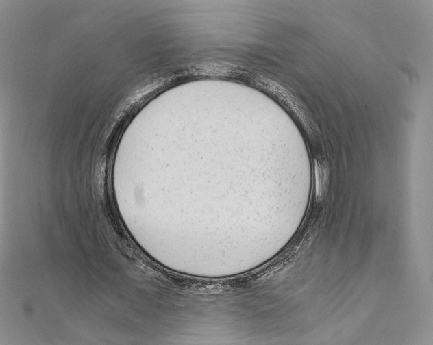 X0000110930675200907301624