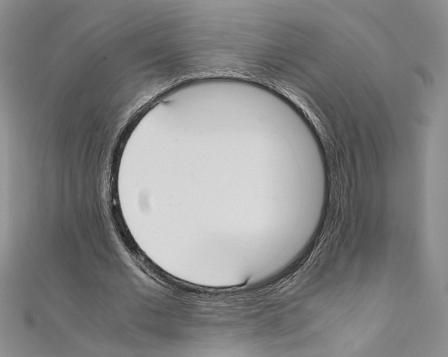 X0000110930677200907301624