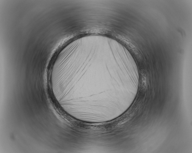 X0000110930678200907301624