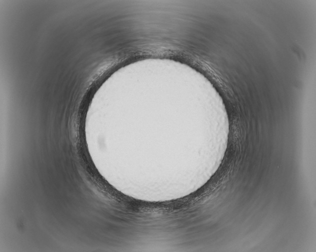 X0000110930679200907301624