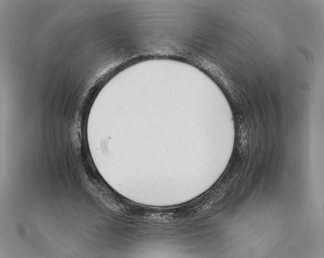 X0000110930680200907301624