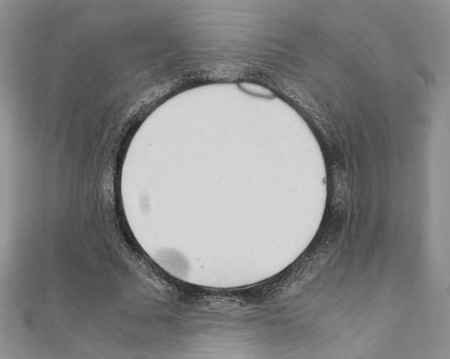 X0000110930681200907301624