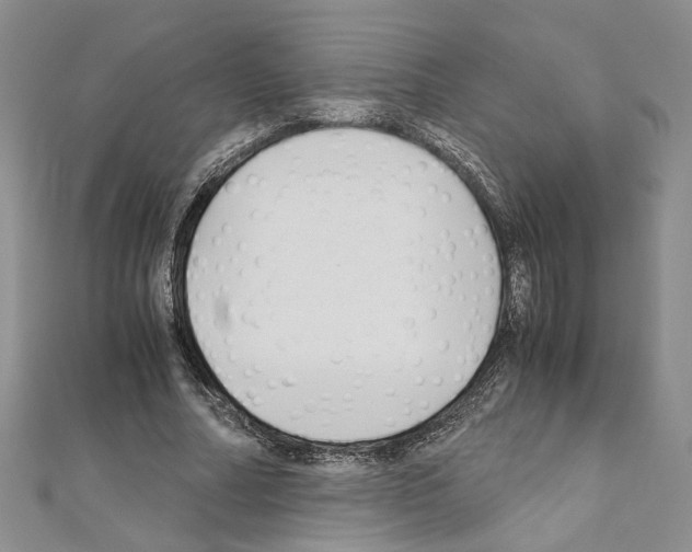 X0000110930682200907301624