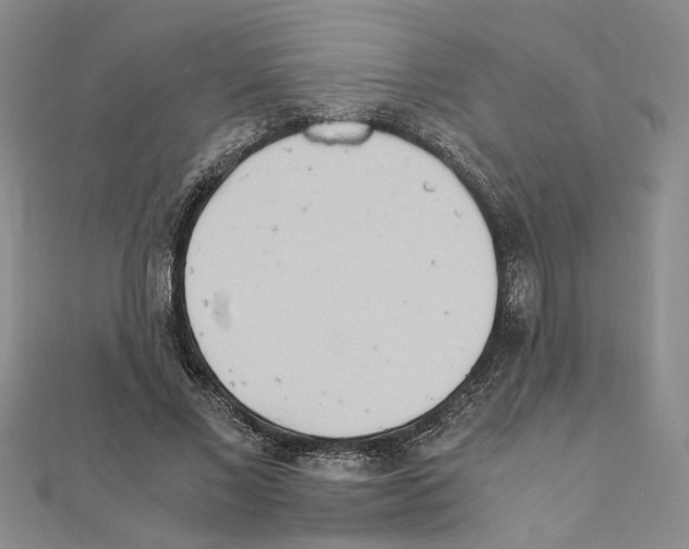 X0000110930685200907301624