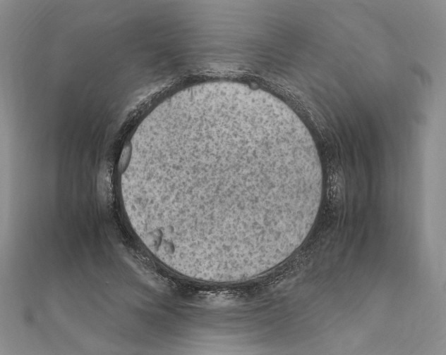 X0000110930688200907301624