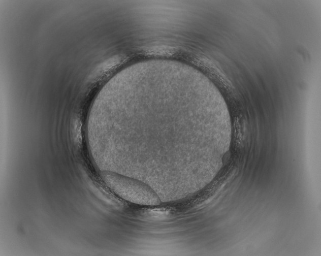 X0000110930692200907301624
