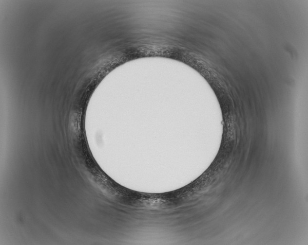 X0000110930695200907301624