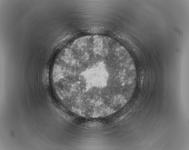 X0000110930696200907301624