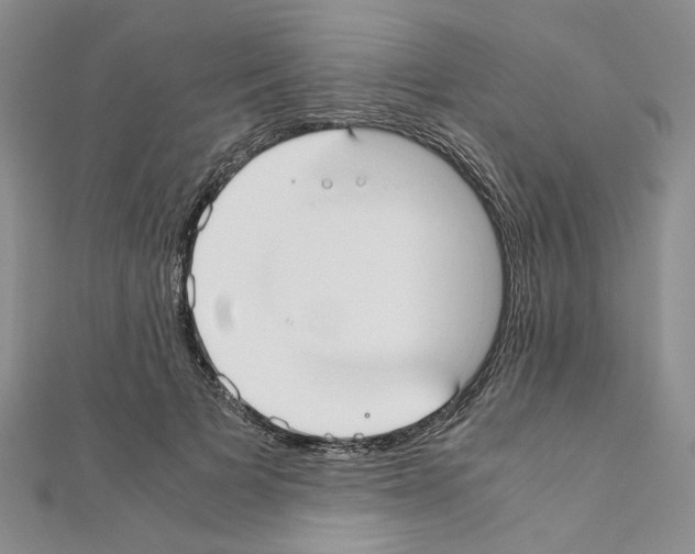 X0000110930697200907301624