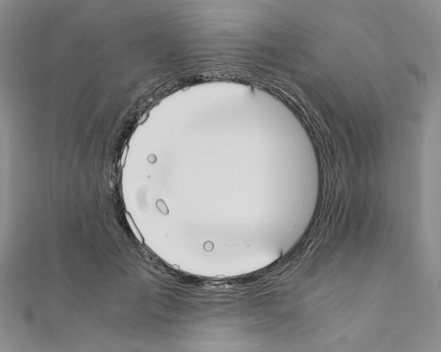 X0000110930701200907301624
