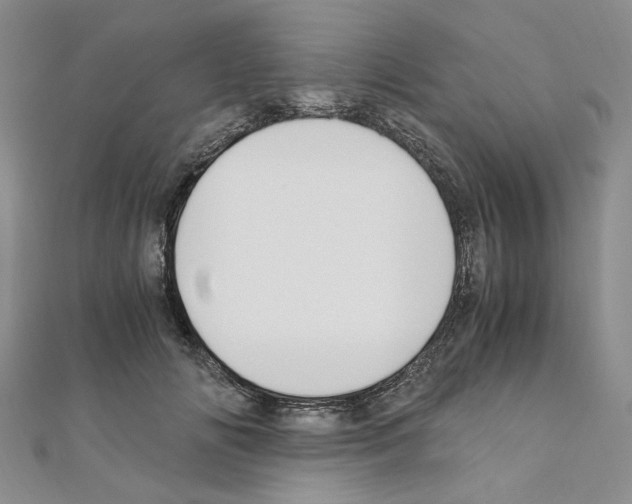 X0000110930702200907301624