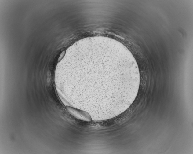 X0000110930704200907301624