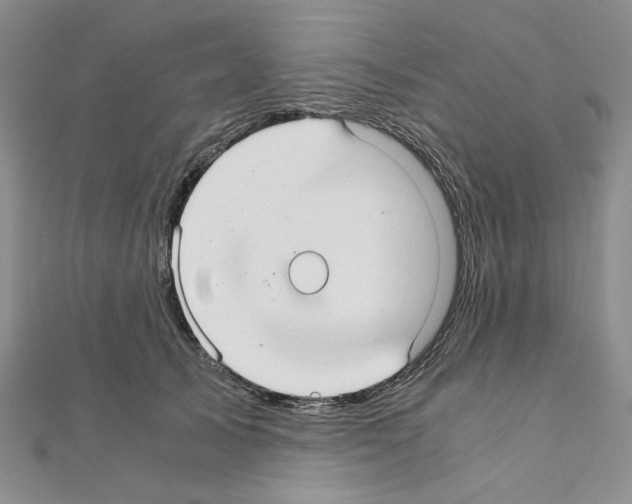 X0000110930705200907301624