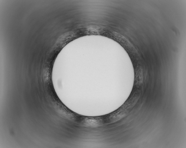 X0000110930706200907301624