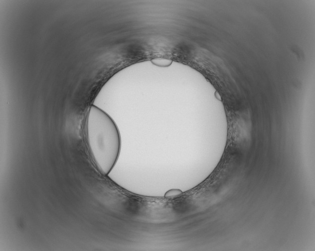 X0000110930709200907301623