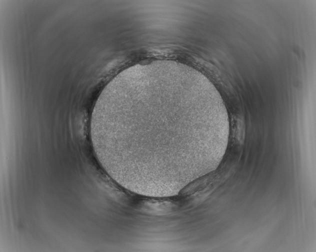 X0000110930712200907301623