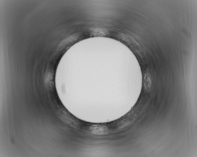 X0000110930714200907301623