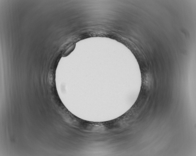 X0000110930715200907301623