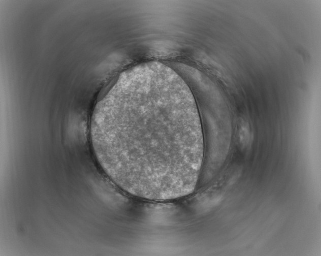 X0000110930716200907301623