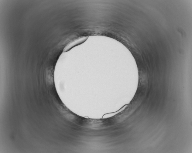 X0000110930719200907301623