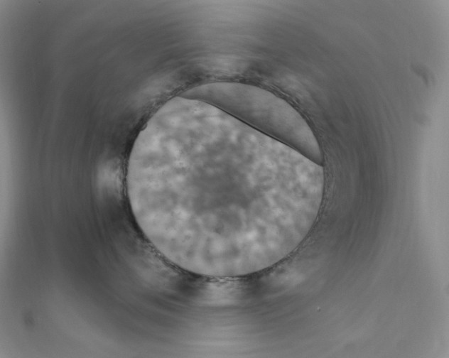 X0000110930720200907301623