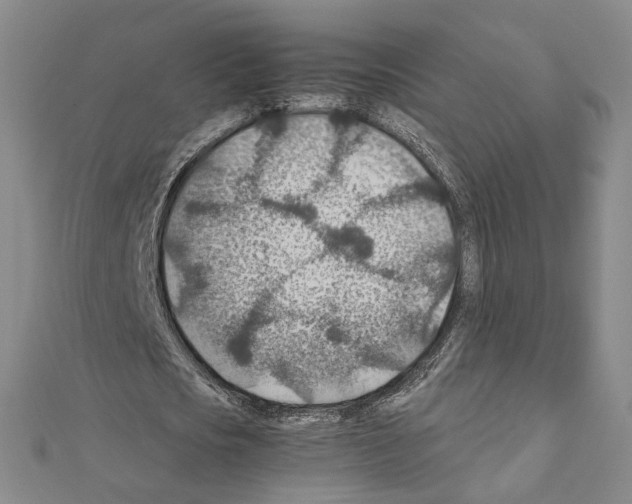 X0000110930721200907301623