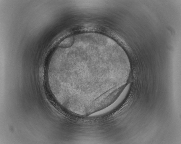 X0000110930722200907301623
