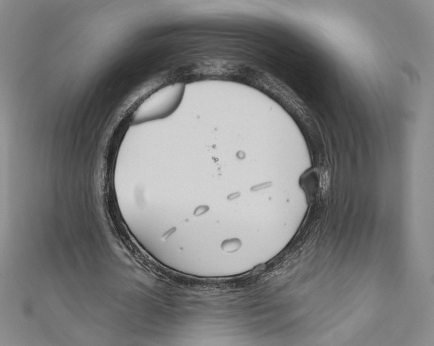 X0000110930724200907301623