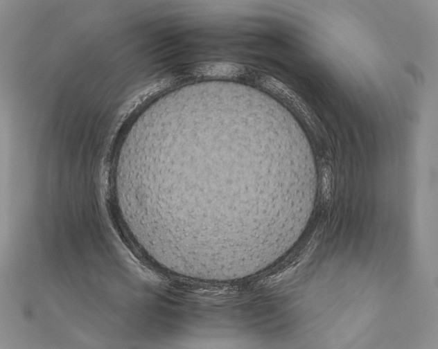 X0000110930725200907301623