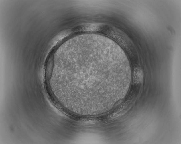 X0000110930726200907301623