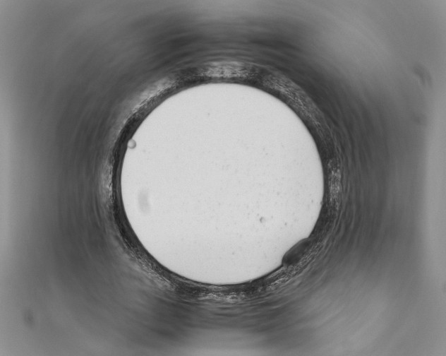 X0000110930727200907301623