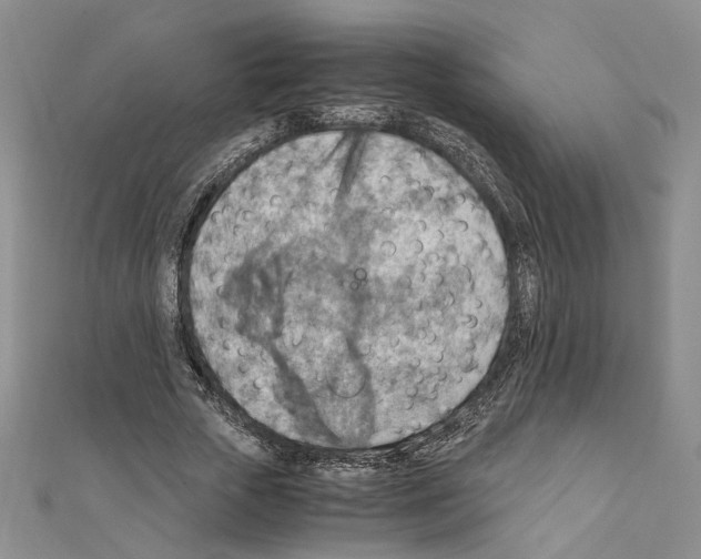 X0000110930729200907301623