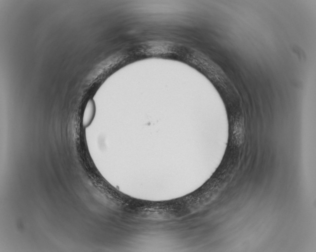 X0000110930732200907301623