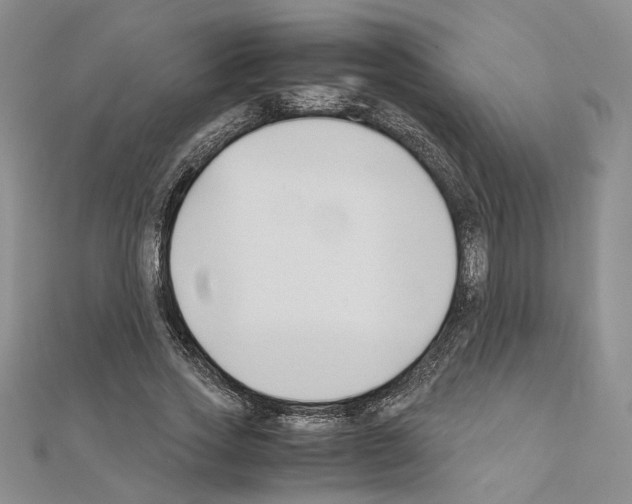 X0000110930733200907301623