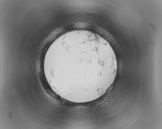 X0000110930734200907301623